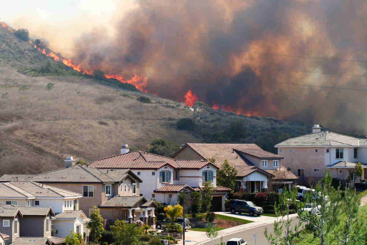 California Wildfires Signal The Arrival Of A Planetary Fire Age - Wings ...